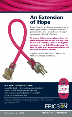 Erikson Manufacturing's 2010 Breast Cancer Awareness Initiative 